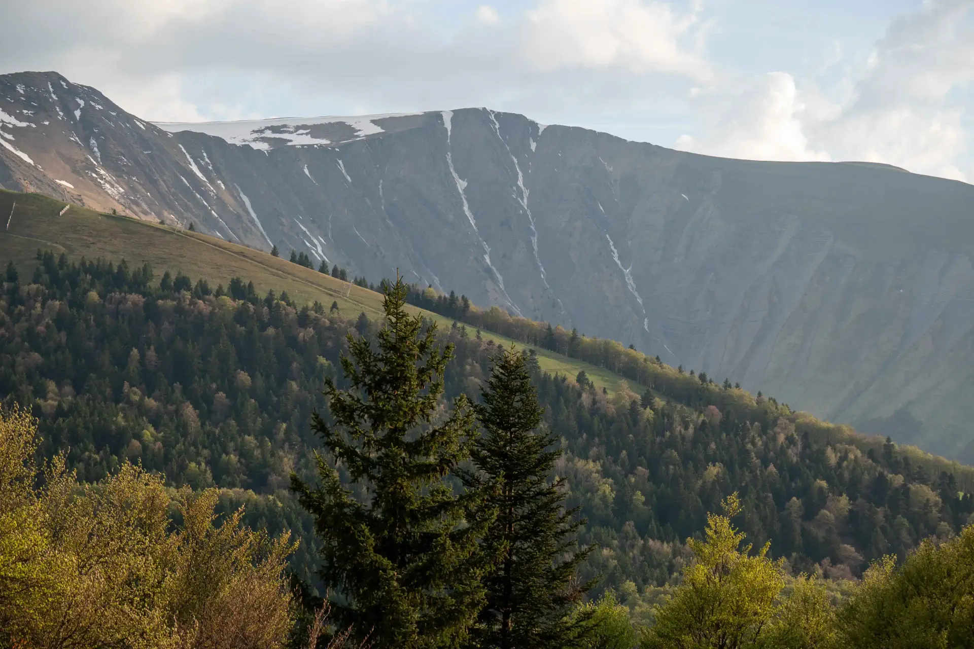 une montagne avec des arbres et des montagnes en arrière-plan